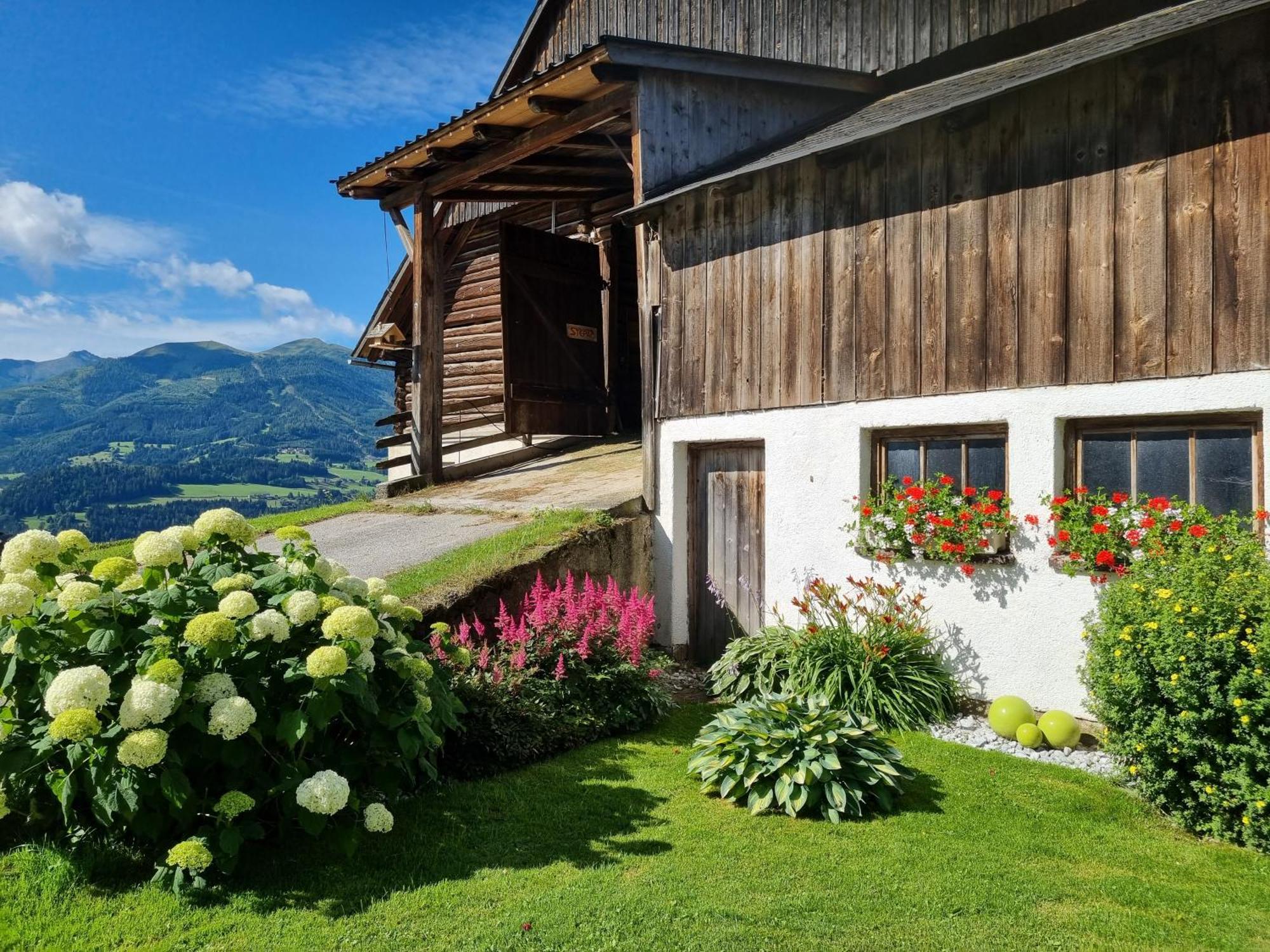 Kulmerhof - Farm Apartment Pruggern Exterior photo